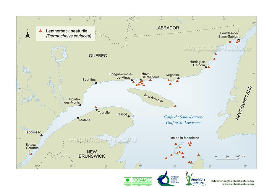 carte de répartition québécoise de la tortue luth