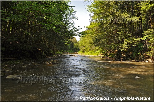 rivière de la Roche