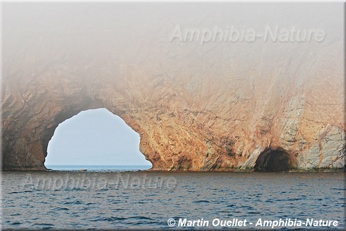 rocher Percé en 2010