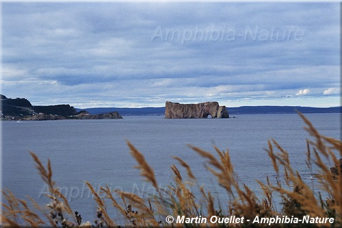 rocher Percé