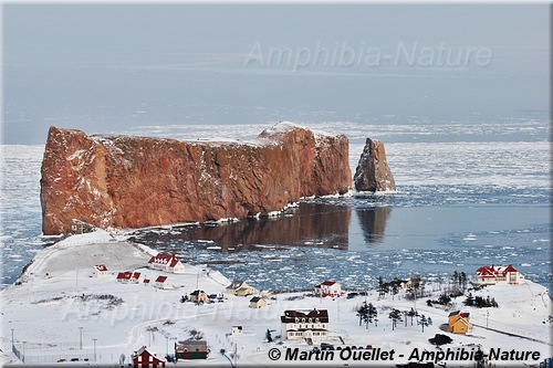 rocher Percé en hver