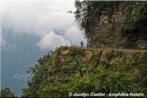 Route de la mort - Bolivie