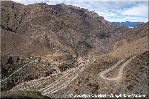 route sinueuse près de Caspalá en Argentine