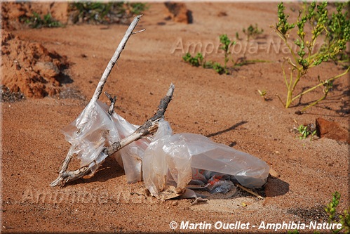 déchets - sacs plastique