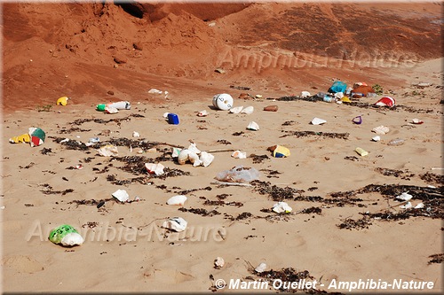 déchets sur la plage