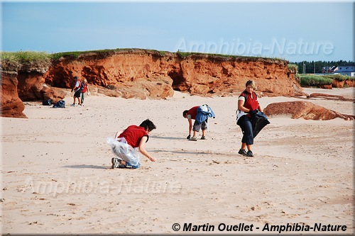 nettoyage de la plage par des bénévoles 