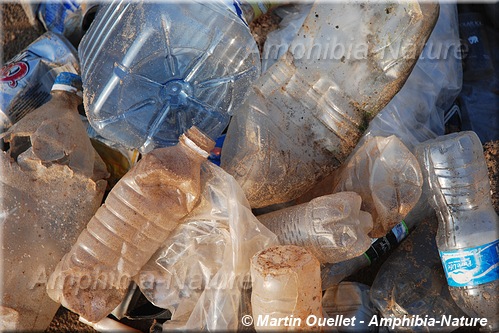 bouteilles plastique collectés lors d'un nettoyage