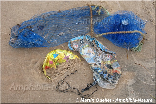 filets et ballons collectés lors d'un nettoyage