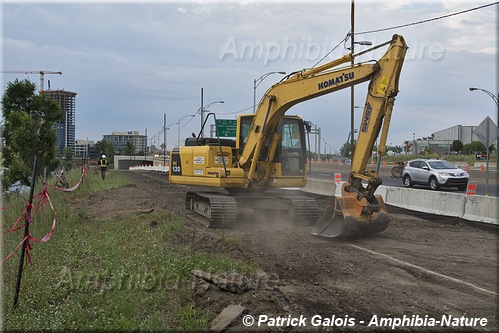 Surveillance de travaux d'excavation