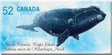 timbre baleine noire