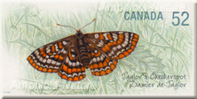 timbre - papillon - 52 cents
