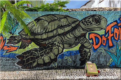 murale d'une tortue verte - Brésil