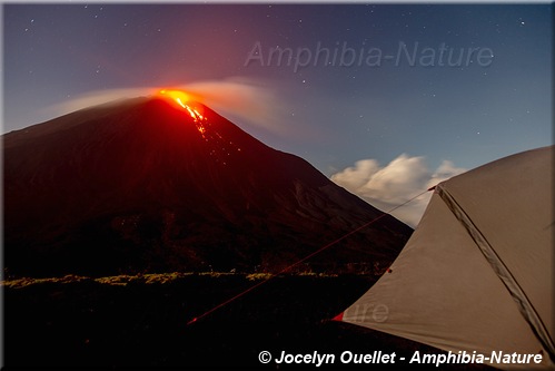 Volcan Pacaya - République du Guatemala