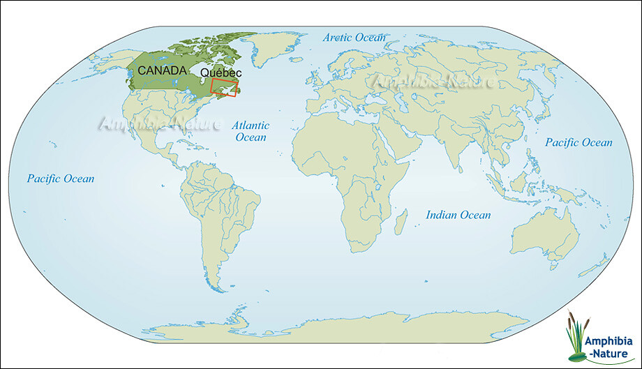 Carte de la zone d'étude de la tortue luth