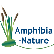 (c) Amphibia-nature.org