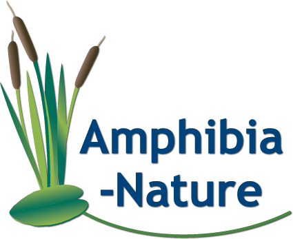 Logo Amphibia-Nature