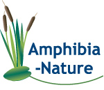 logo Amphibia-Nature
