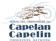 logo du Réseau des observateurs du capelan