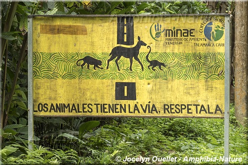 panneau 19 - Cahuite, Costa Rica