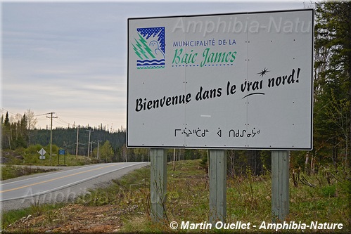panneau 8 - municipalité de Baie-James