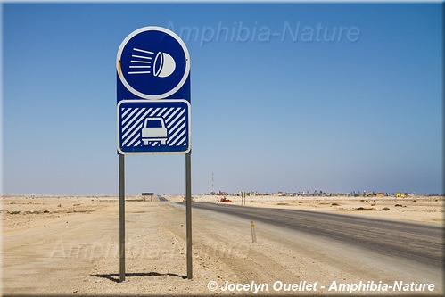 panneau 4 - phare, brouillard, Namibie