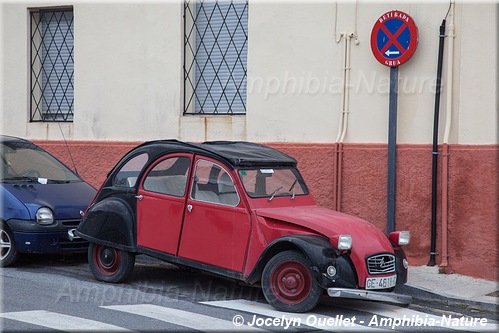 panneau 40 - Maroc