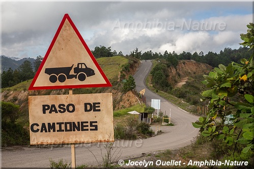 panneau 44 - paso de camiones