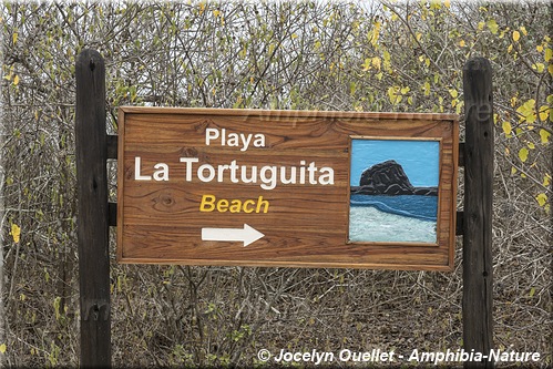 panneau 10 - Playa La Tortuguita