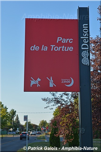 panneau 11 - Parc de la Tortue