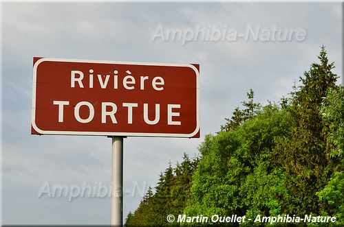 panneau 15 - Rivière Tortue