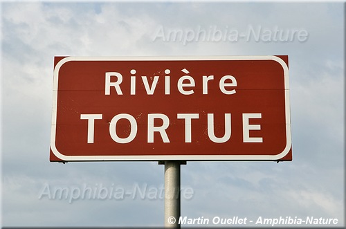 panneau 16 - Rivière Tortue