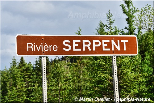 panneau 17 - Rivière Serpent