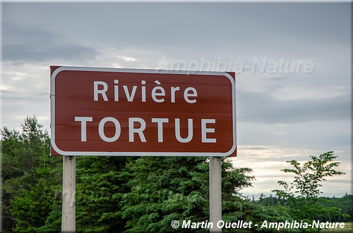 panneau 2 - Rivière Tortue