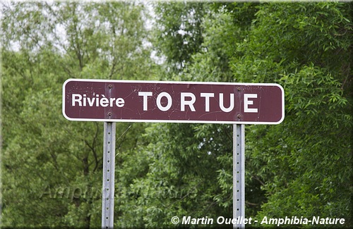 panneau 3 - Rivière Tortue