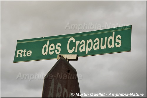 panneau 7 - Route des Crapauds