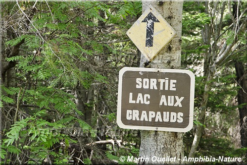 panneau 8 - Lac aux Crapauds