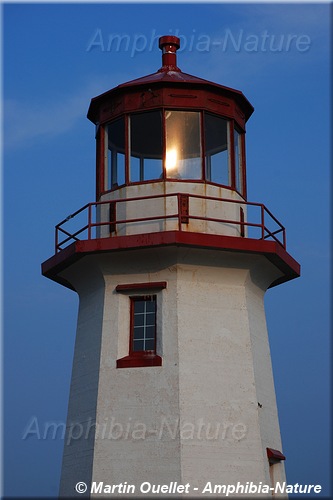 Cap Blanc - Percé