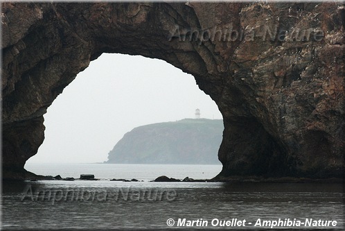 Cap Blanc - Percé