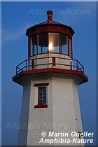 Phare de Cap Blanc - Percé