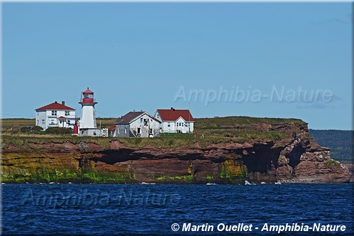 Cap d'Espoir - Percé