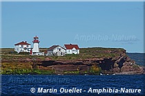 Phare de Cap d'Espoir - Percé