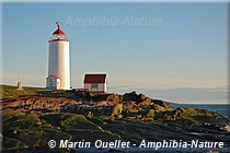 Phare de l'Île Verte - Notre-Dame-des-Sept-Douleurs